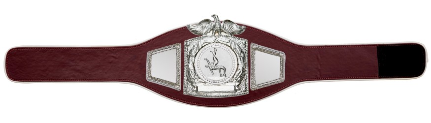 PROEAGLE WRESTLING CHAMPIONSHIP BELT - PROEAGLE/S/WRESTS - AVAILABLE IN 6+ COLOURS PROEAGLE WRESTLING CHAMPIONSHIP BELT - PROEAGLE/S/WRESTS - AVAILABLE IN 6+ COLOURS